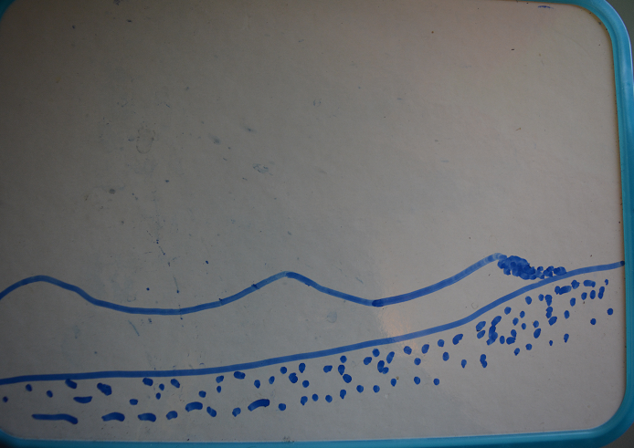 vague plate.png