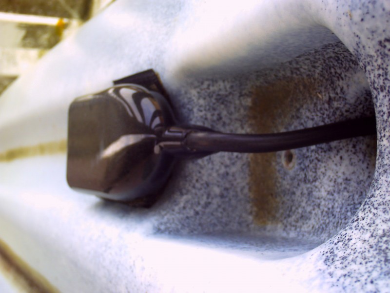 PICT0095.JPG