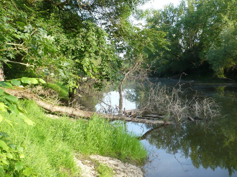 bloggif_5c40464709657.jpeg