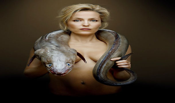 photo-Fish-Love-Gillian-Anderson.jpg
