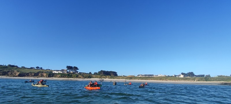 IMG_20220528_080703.jpg