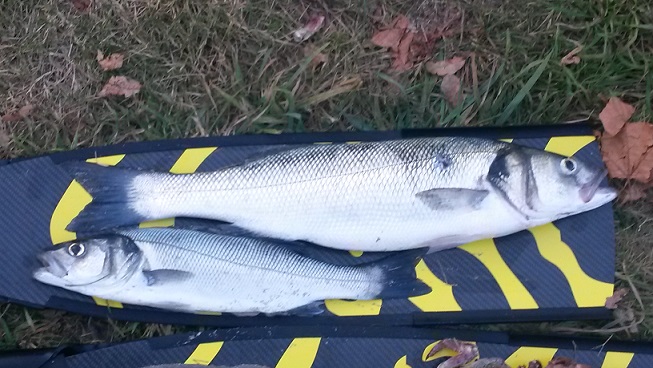 20150820_195331.jpg